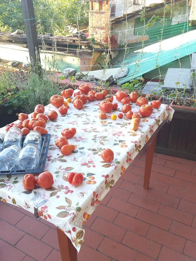 Guest house Tuscan Hilltop Motrone Italy