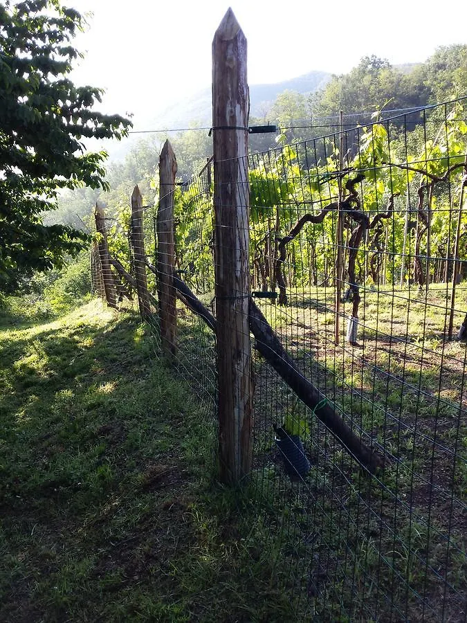 Tuscan Hilltop Motrone 0*,